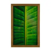 QUADRO FOLHA INTERIOR 20 CM X 30 CM - AMÊNDOA/MULTICOR - Foto 1