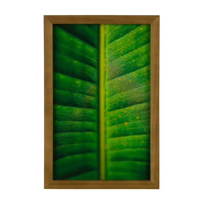 QUADRO FOLHA INTERIOR 20 CM X 30 CM - AMÊNDOA/MULTICOR - Foto 1