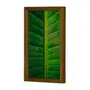 QUADRO FOLHA INTERIOR 20 CM X 30 CM - AMÊNDOA/MULTICOR - Foto 2