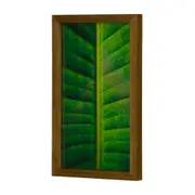 QUADRO FOLHA INTERIOR 20 CM X 30 CM - AMÊNDOA/MULTICOR - Foto 2