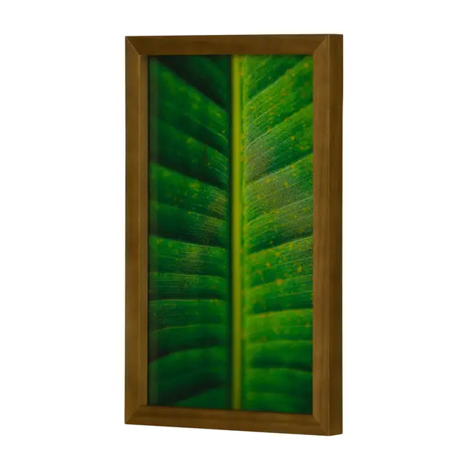 QUADRO FOLHA INTERIOR 20 CM X 30 CM - AMÊNDOA/MULTICOR - Foto 2