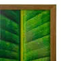 QUADRO FOLHA INTERIOR 20 CM X 30 CM - AMÊNDOA/MULTICOR - Foto 3