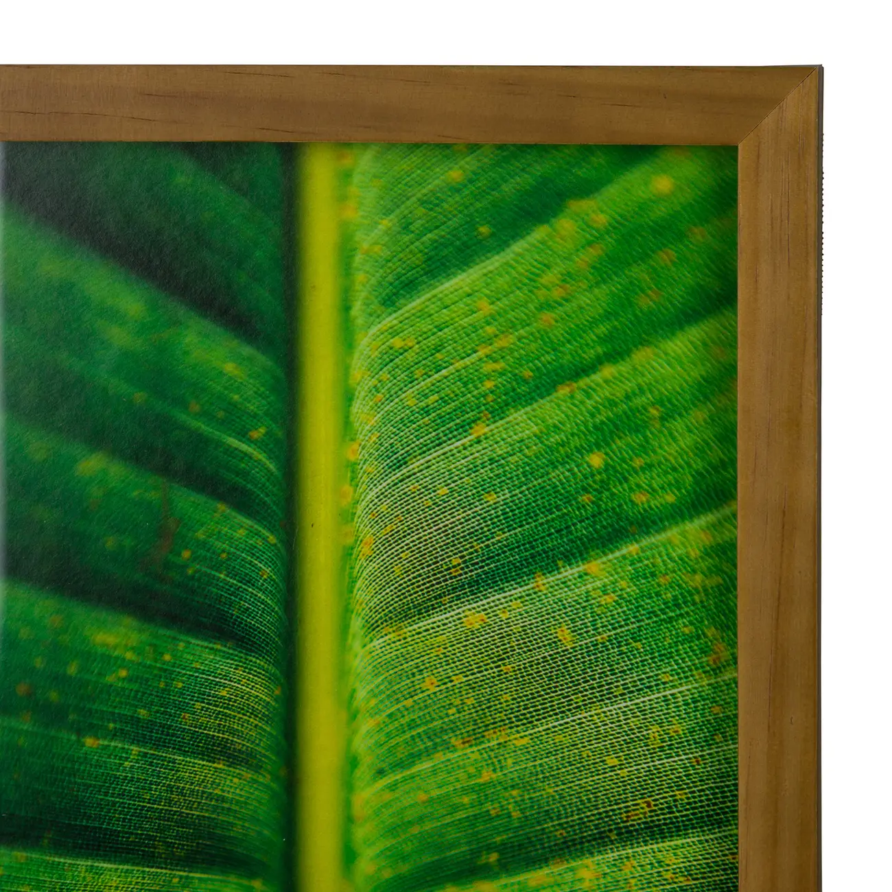 QUADRO FOLHA INTERIOR 20 CM X 30 CM - AMÊNDOA/MULTICOR - Foto 3