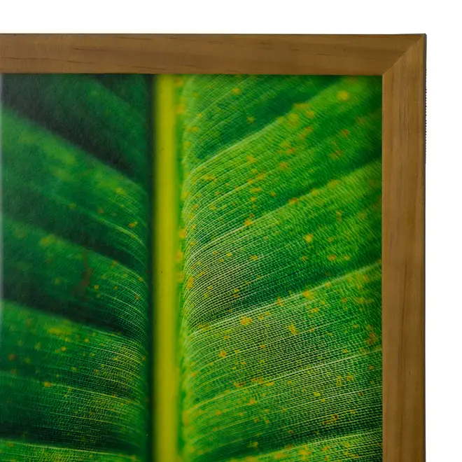 QUADRO FOLHA INTERIOR 20 CM X 30 CM - AMÊNDOA/MULTICOR - Foto 3