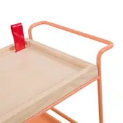 CARRINHO 61 CM X 33 CM JELLY - MELÃO/NATURAL WASHED - Foto 4