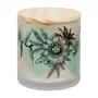 VELA PERFUMADA POTE PALO SANTO DELINEAR - OFF WHITE/ MULTICOR - Foto 5