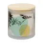 VELA PERFUMADA POTE PALO SANTO DELINEAR - OFF WHITE/ MULTICOR - Foto 6