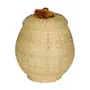 CESTO COM TAMPA 30 CM X 27 CM X 27 CM BURITI - FIBRA CLARA/TERRACOTA - Foto 1