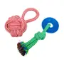 BOLINHA ACESSÓRIO PARA PET KNOT - VERMELHO/BRANCO - Foto 5