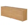 SAPATEIRA/BANCO 2 PORTAS BASCULANTES HIDE - OAK TAMMI - Foto 3