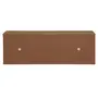 SAPATEIRA/BANCO 2 PORTAS BASCULANTES HIDE - OAK TAMMI - Foto 8