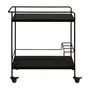 PRETO/PRETO - CARRINHO 73 CM X 40 CM FRANC