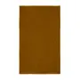 TOALHA DE ROSTO 80 CM X 48 CM BURKINA - CANELA DO CEILÃO/CANELA DO CEILÃO - Foto 4