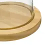 PORTA-QUEIJO 19 CM REPOUSO - VERDE/AMÊNDOA - Foto 4