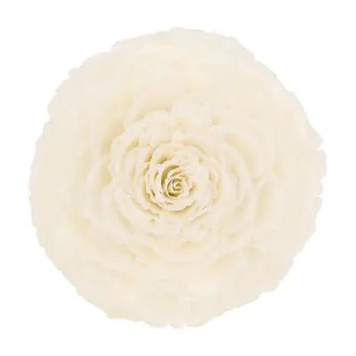 ADORNO 20 CM ESCAMA DE PEIXE ROSA