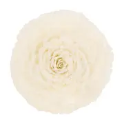 ADORNO 20 CM ESCAMA DE PEIXE ROSA - BRANCO/FIBRA CLARA - Foto 1