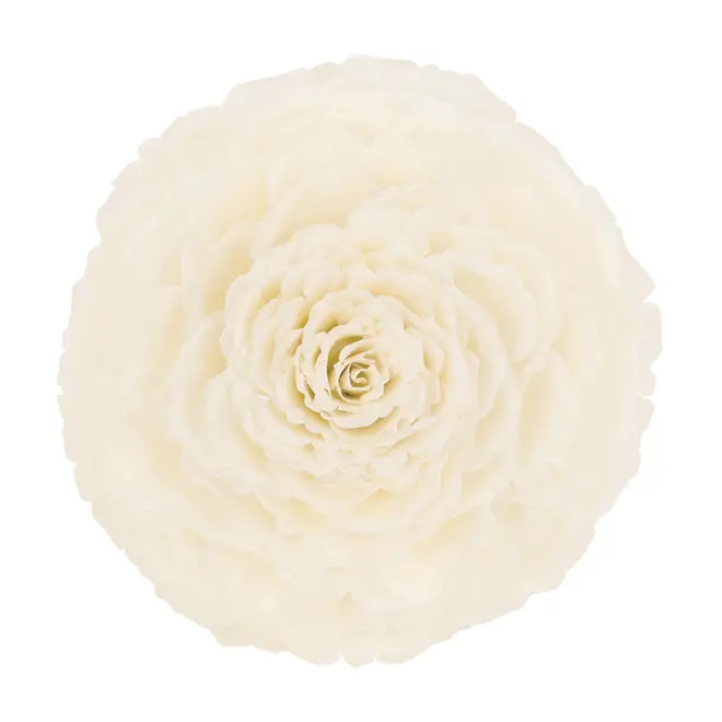ADORNO 20 CM ESCAMA DE PEIXE ROSA - BRANCO/FIBRA CLARA - Foto 1