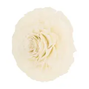 ADORNO 20 CM ESCAMA DE PEIXE ROSA - BRANCO/FIBRA CLARA - Foto 2