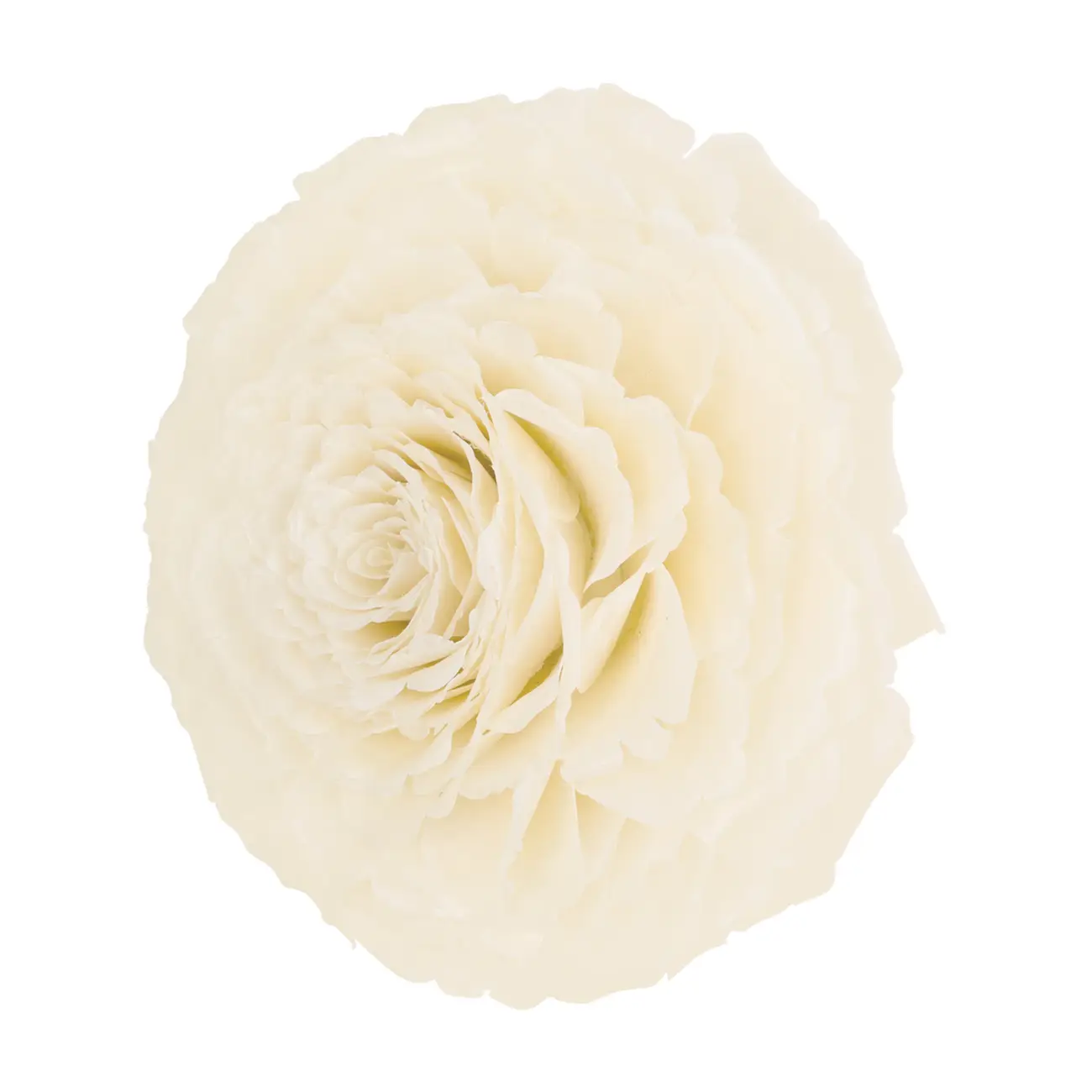 ADORNO 20 CM ESCAMA DE PEIXE ROSA - BRANCO/FIBRA CLARA - Foto 2