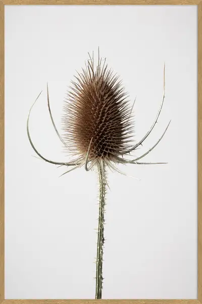 QUADRO JOIA NATURAL III 80 CM X 1,20 M