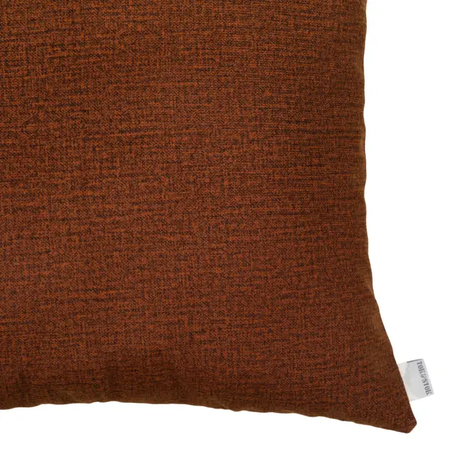 425253-6311145a35a6a9000198fea0.jpg