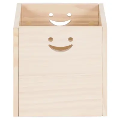 CAIXA ORGANIZADORA 30 CM X 30 CM X 30 CM PÉ COM PÉ