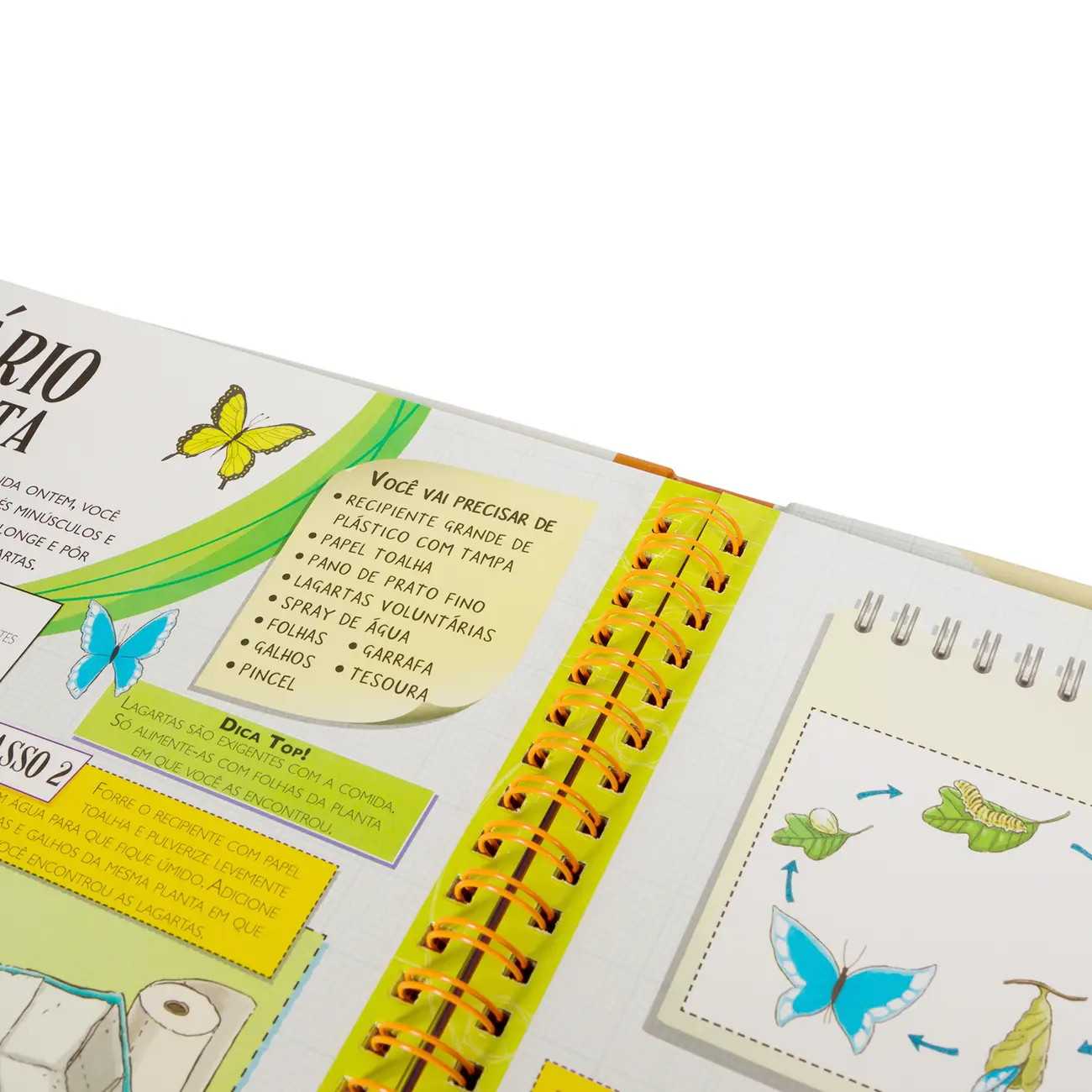 LIVRO CIÊNCIA DO FAÇA VOCÊ MESMO - MULTICOR - Foto 4