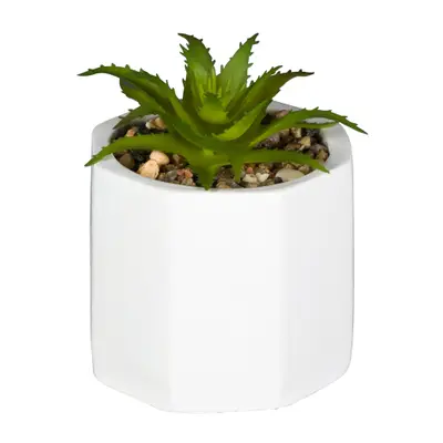 MINI ARRANJO SUCULENTA KALANCHOE