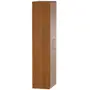 GUARDA-ROUPA 2 PORTAS 5 PRATELEIRAS 35 MAXIMUS - FREIJÓ - Foto 6