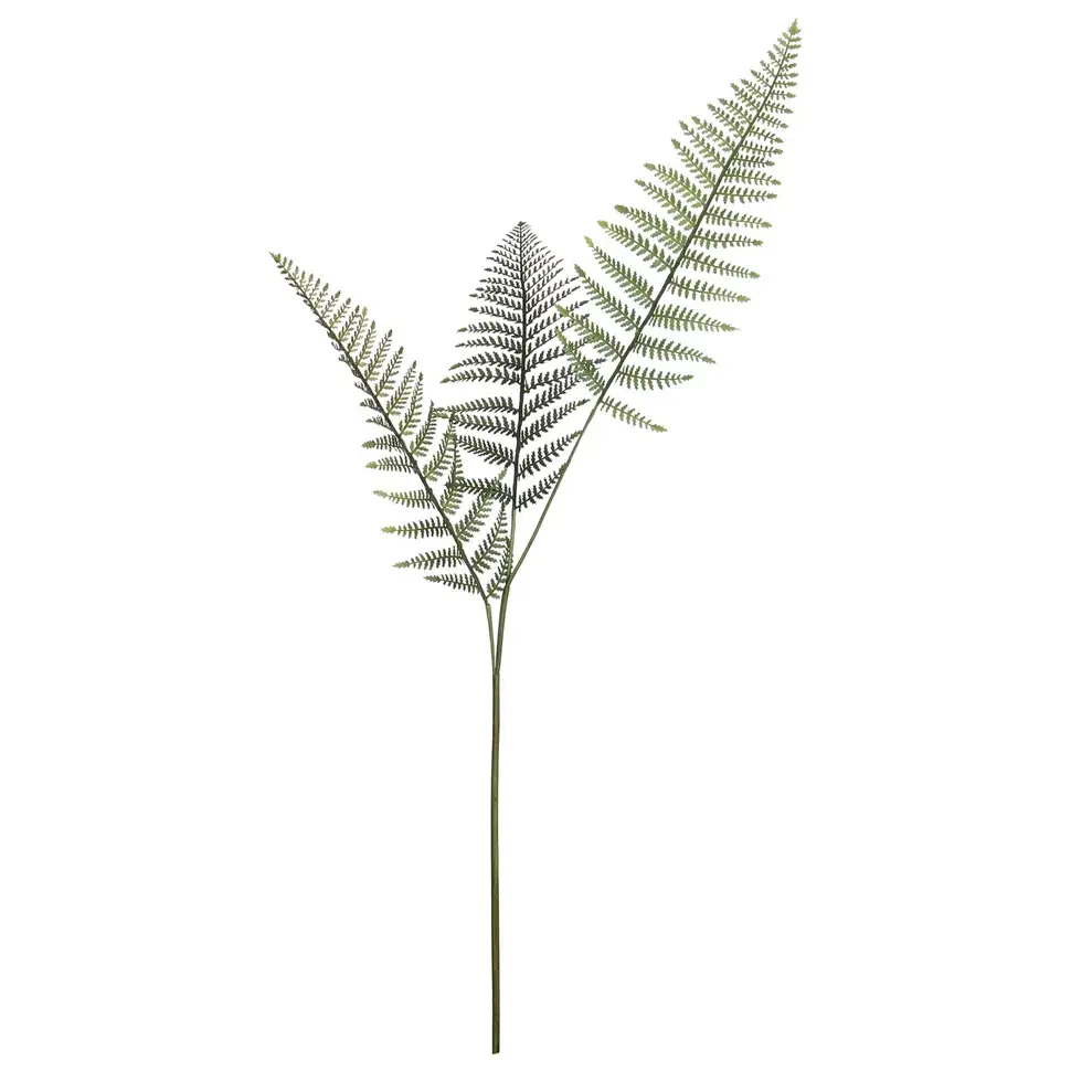 FOLHAGEM SAMAMBAIA - VERDE - Foto 1