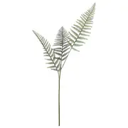 FOLHAGEM SAMAMBAIA - VERDE - Foto 1