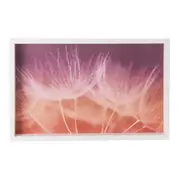 QUADRO 50 CM X 32 CM TUILERIES - BRANCO/MULTICOR - Foto 1