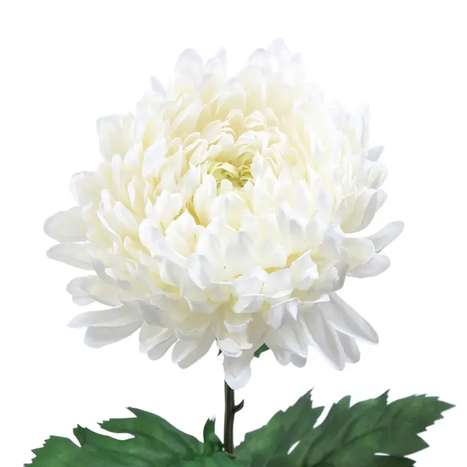 FLOR CALÊNDULA SOLAR - BRANCO/VERDE - Foto 2