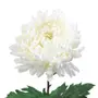 FLOR CALÊNDULA SOLAR - BRANCO/VERDE - Foto 2