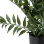 ARRANJO FICUS - PRETO/VERDE - Foto 3