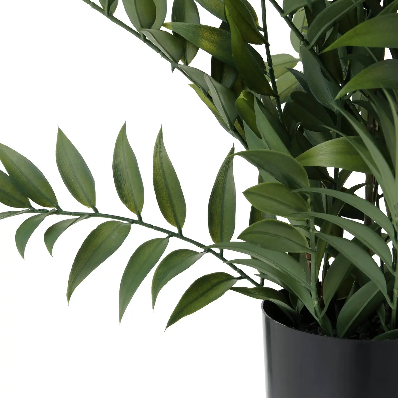 ARRANJO FICUS - PRETO/VERDE - Foto 3