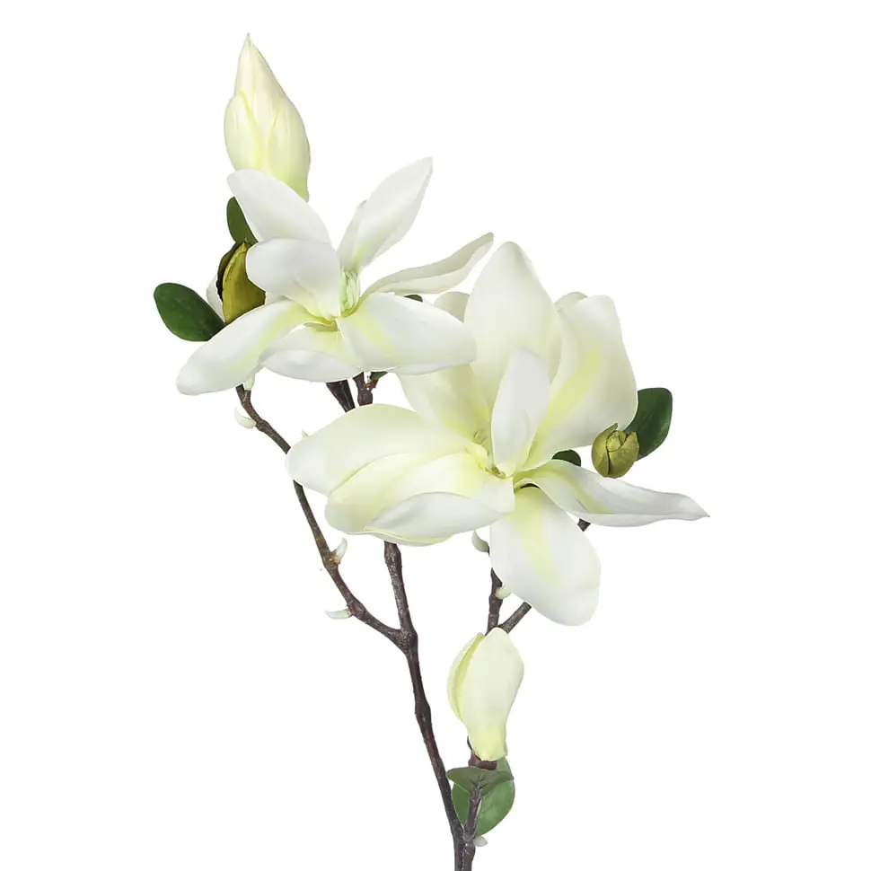 FLOR CHARMING MAGNÓLIA - BRANCO/VERDE - Foto 2