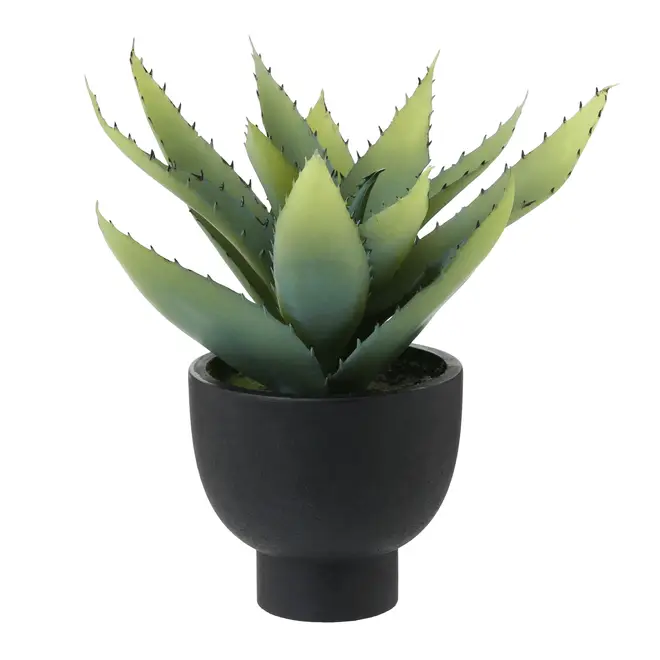 ARRANJO ALOE - PRETO/VERDE - Foto 1