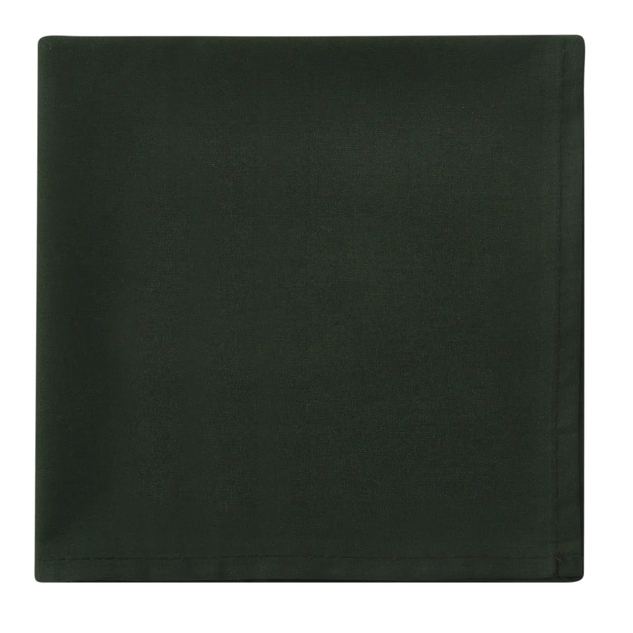 GUARDANAPO DE TECIDO 40 CM X 40 CM CONJUNTO COM 4 SPLENDID - VERDE - Foto 3
