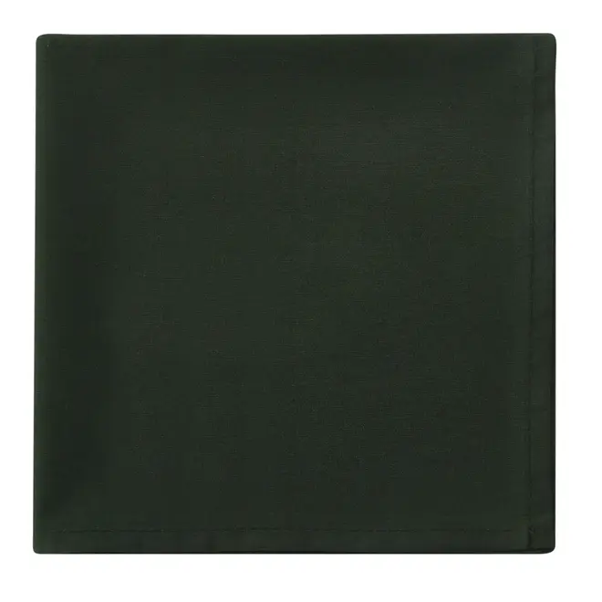 GUARDANAPO DE TECIDO 40 CM X 40 CM CONJUNTO COM 4 SPLENDID - VERDE - Foto 3