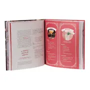 LIVRO DESTILADOS COM DESIGN - MULTICOR - Foto 5
