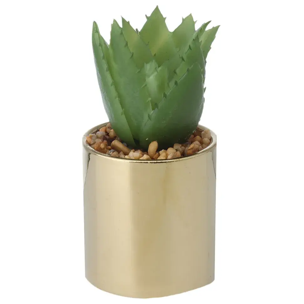SUCULENTA ALOE MINI ARRANJO RIQUEZ - OURO/VERDE - Foto 1