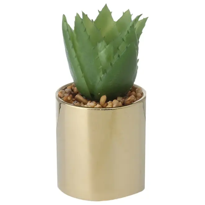 SUCULENTA ALOE MINI ARRANJO RIQUEZ - OURO/VERDE - Foto 1