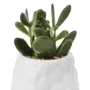 SUCULENTA JADE MINI ARRANJO KOMODO - BRANCO/VERDE - Foto 2