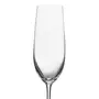 TAÇA CHAMPANHE 250 ML REVELRY - INCOLOR - Foto 3