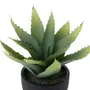 ARRANJO ALOE - PRETO/VERDE - Foto 3