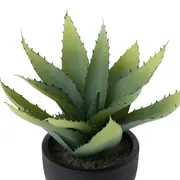 ARRANJO ALOE - PRETO/VERDE - Foto 3