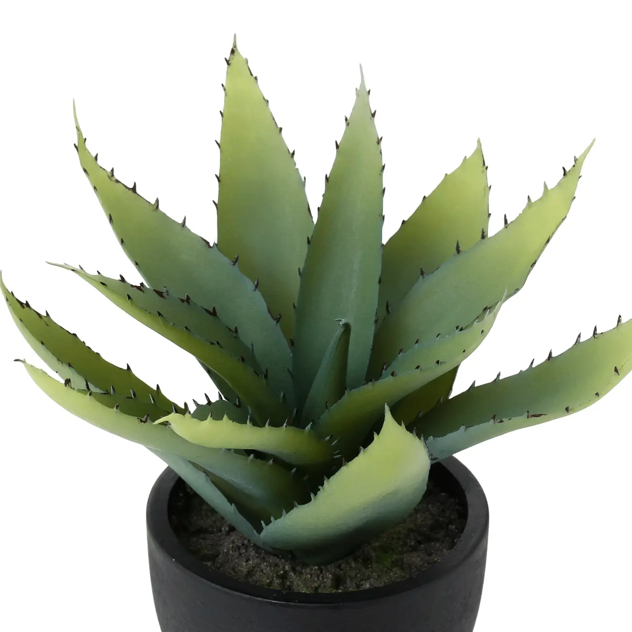 ARRANJO ALOE - PRETO/VERDE - Foto 3