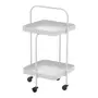CARRINHO 44 CM X 44 CM DOBRADINHA - FLANDRES - Foto 2