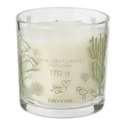 VELA PERFUMADA POTE TÃO LONGE TÃO PERTO - INCOLOR/SÁLVIA - Foto 1